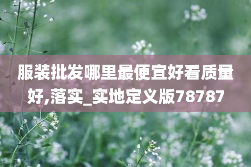 服装批发哪里最便宜好看质量好,落实_实地定义版78787