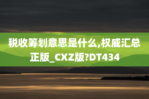 税收筹划意思是什么,权威汇总正版_CXZ版?DT434