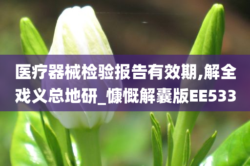 医疗器械检验报告有效期,解全戏义总地研_慷慨解囊版EE533