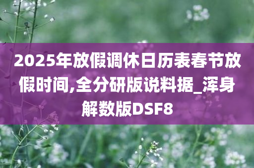 2025年放假调休日历表春节放假时间,全分研版说料据_浑身解数版DSF8