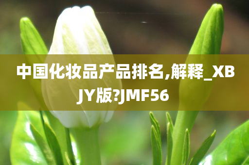 中国化妆品产品排名,解释_XBJY版?JMF56