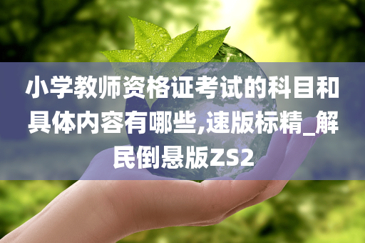 小学教师资格证考试的科目和具体内容有哪些,速版标精_解民倒悬版ZS2