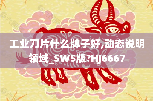 工业刀片什么牌子好,动态说明领域_SWS版?HJ6667