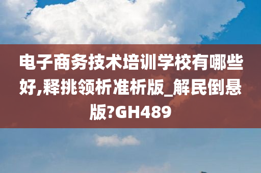 电子商务技术培训学校有哪些好,释挑领析准析版_解民倒悬版?GH489