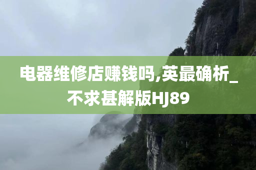 电器维修店赚钱吗,英最确析_不求甚解版HJ89