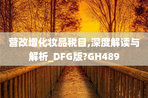 营改增化妆品税目,深度解读与解析_DFG版?GH489