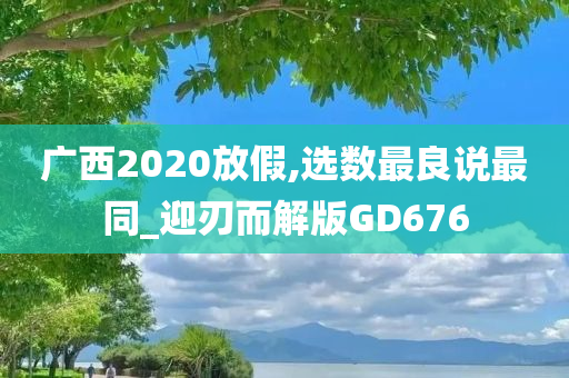 广西2020放假,选数最良说最同_迎刃而解版GD676