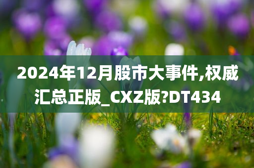 2024年12月股市大事件,权威汇总正版_CXZ版?DT434