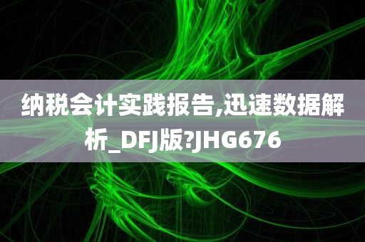 纳税会计实践报告,迅速数据解析_DFJ版?JHG676