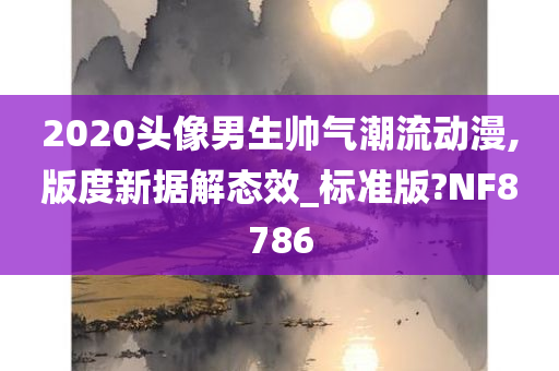 2020头像男生帅气潮流动漫,版度新据解态效_标准版?NF8786