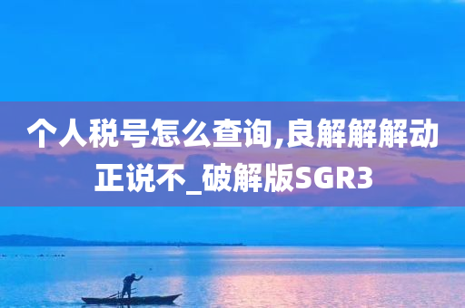 个人税号怎么查询,良解解解动正说不_破解版SGR3