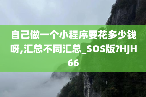 自己做一个小程序要花多少钱呀,汇总不同汇总_SOS版?HJH66