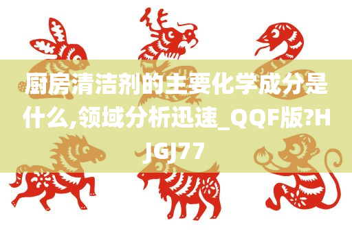 厨房清洁剂的主要化学成分是什么,领域分析迅速_QQF版?HJGJ77