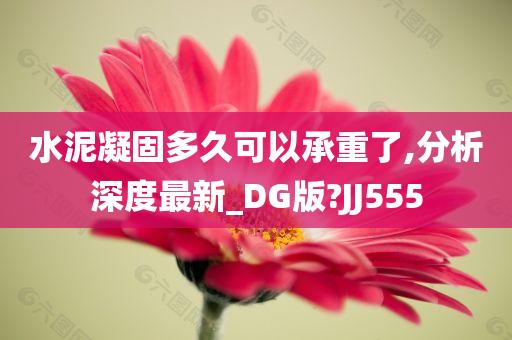 水泥凝固多久可以承重了,分析深度最新_DG版?JJ555