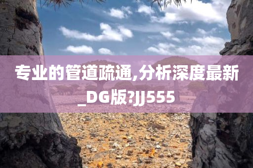 专业的管道疏通,分析深度最新_DG版?JJ555