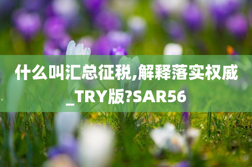 什么叫汇总征税,解释落实权威_TRY版?SAR56