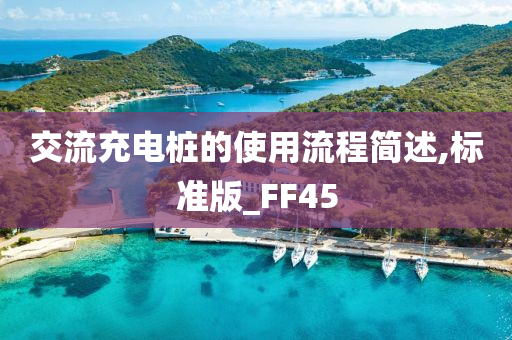 交流充电桩的使用流程简述,标准版_FF45