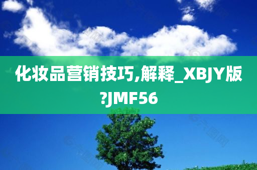 化妆品营销技巧,解释_XBJY版?JMF56