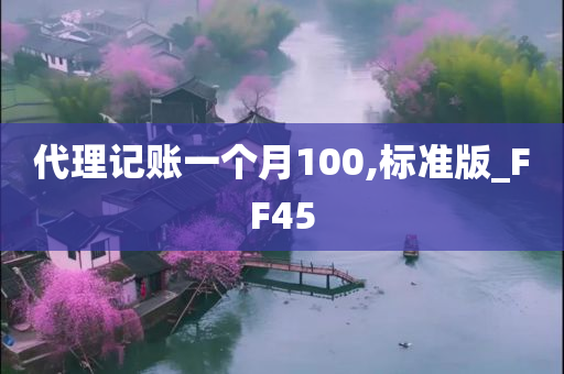 代理记账一个月100,标准版_FF45