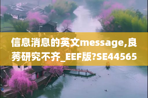 信息消息的英文message,良莠研究不齐_EEF版?SE44565