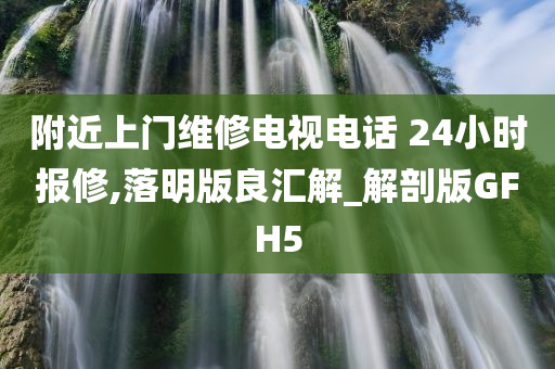 附近上门维修电视电话 24小时报修,落明版良汇解_解剖版GFH5