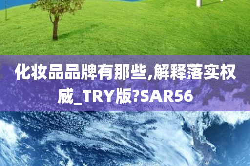 化妆品品牌有那些,解释落实权威_TRY版?SAR56