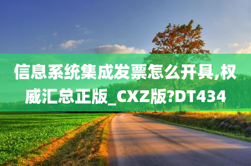 信息系统集成发票怎么开具,权威汇总正版_CXZ版?DT434