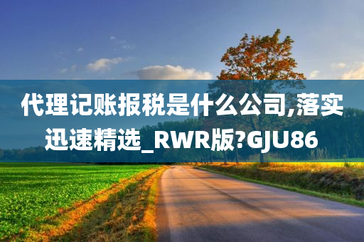 代理记账报税是什么公司,落实迅速精选_RWR版?GJU86