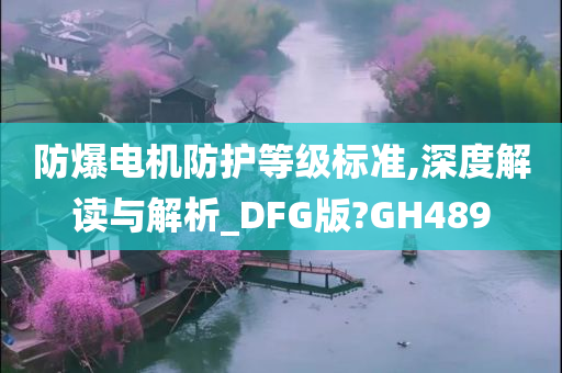 防爆电机防护等级标准,深度解读与解析_DFG版?GH489