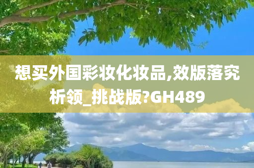 想买外国彩妆化妆品,效版落究析领_挑战版?GH489