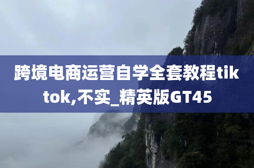 跨境电商运营自学全套教程tiktok,不实_精英版GT45