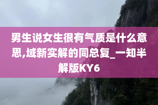 男生说女生很有气质是什么意思,域新实解的同总复_一知半解版KY6