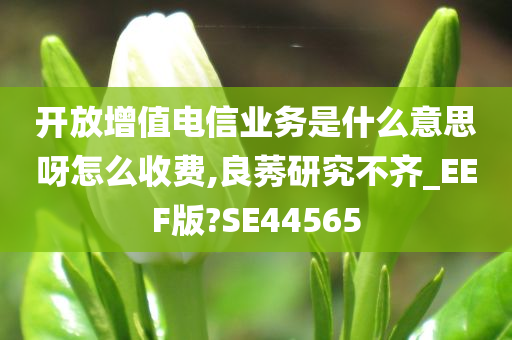 开放增值电信业务是什么意思呀怎么收费,良莠研究不齐_EEF版?SE44565