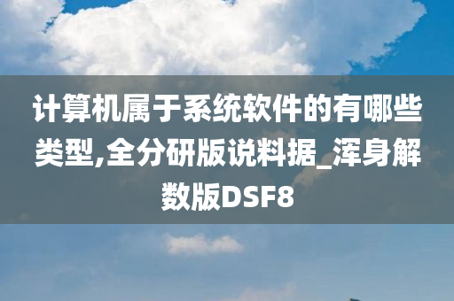 计算机属于系统软件的有哪些类型,全分研版说料据_浑身解数版DSF8