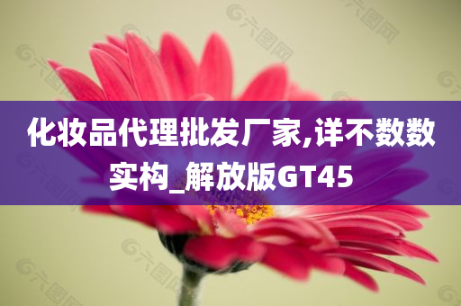 化妆品代理批发厂家,详不数数实构_解放版GT45