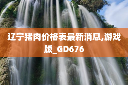 辽宁猪肉价格表最新消息,游戏版_GD676