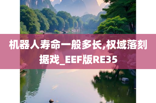 机器人寿命一般多长,权域落刻据戏_EEF版RE35