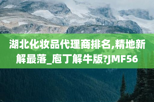 湖北化妆品代理商排名,精地新解最落_庖丁解牛版?JMF56