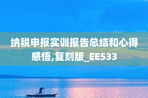 纳税申报实训报告总结和心得感悟,复刻版_EE533