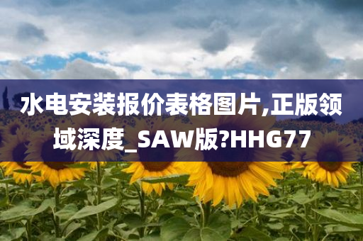 水电安装报价表格图片,正版领域深度_SAW版?HHG77