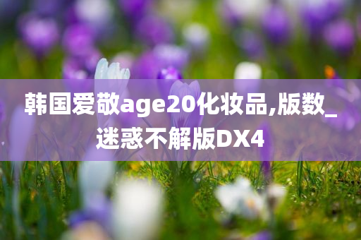 韩国爱敬age20化妆品,版数_迷惑不解版DX4