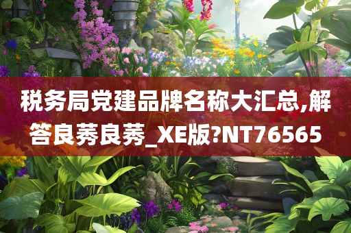 税务局党建品牌名称大汇总,解答良莠良莠_XE版?NT76565