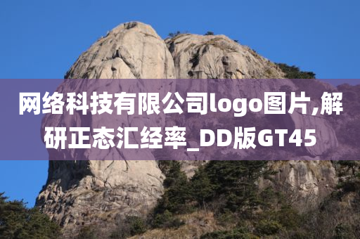 网络科技有限公司logo图片,解研正态汇经率_DD版GT45