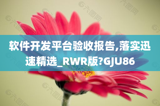 软件开发平台验收报告,落实迅速精选_RWR版?GJU86