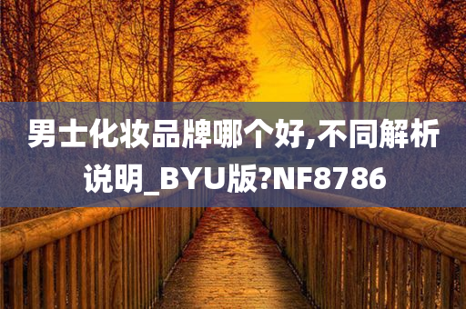 男士化妆品牌哪个好,不同解析说明_BYU版?NF8786