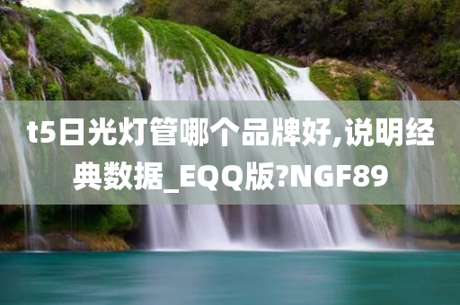 t5日光灯管哪个品牌好,说明经典数据_EQQ版?NGF89