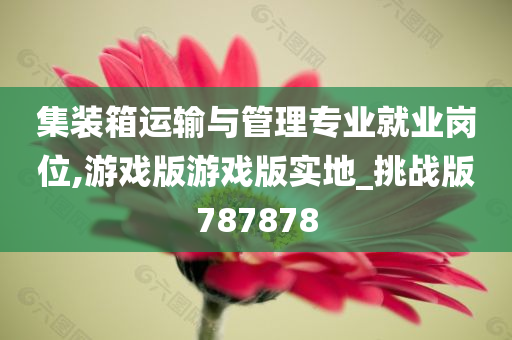 集装箱运输与管理专业就业岗位,游戏版游戏版实地_挑战版787878