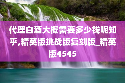 代理白酒大概需要多少钱呢知乎,精英版挑战版复刻版_精英版4545