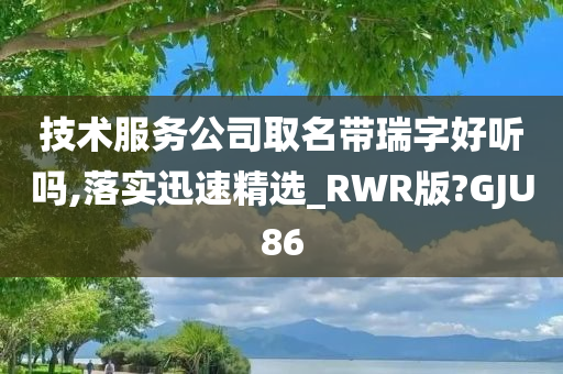 技术服务公司取名带瑞字好听吗,落实迅速精选_RWR版?GJU86