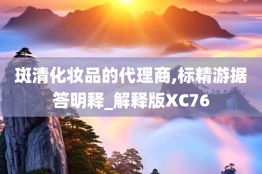 斑清化妆品的代理商,标精游据答明释_解释版XC76